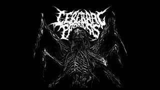 Cerebral Paralysis - 2023 (SINGLE)