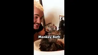MONKEY BATH TIME 