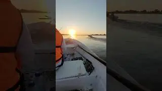 Новый день.#shorts #teamправильнаяподсечка #fishing