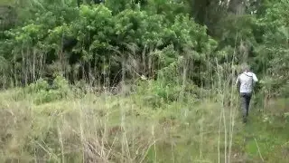 American Hoggers Tom Walker Hog Hunting In florida with His Buddy Tristan