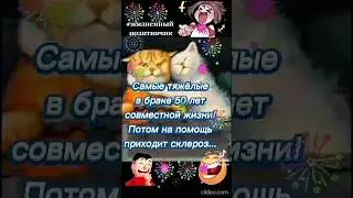 Жизненный 💐 ПОЗИТИВЧИК ❤ #юмор #позитив #жизнь #опыт