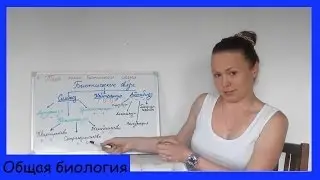 Типы биотических связей (симбиоз, коменсализм, хищничество).
