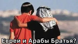 Арабы и Евреи Братья??? Что От Вас Скрывают?