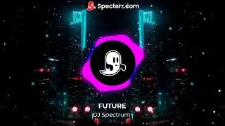 DJ Spectrum - Future