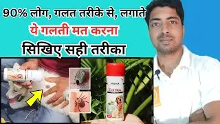 Dog Tick Removal || कुत्ते के पिस्सू जूँ  भागने का सही तरीका !