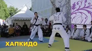 Хапкидо -  Боевое Искусство Кореи