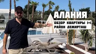 #Alanya Обзор квартиры 1+1. От 105,000€. Район Демирташ #realestate #недвижимостьвтурции #greg0503