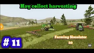Hay Collect Harvesting Animals Feed !! Farming Simulator 20 Gameplay # 11