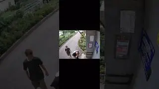 #shorts #юмор