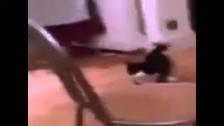 котан 6 сек