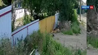 Чаплин отдыхает  двое подростков совершили 'кражу года' на Кубани