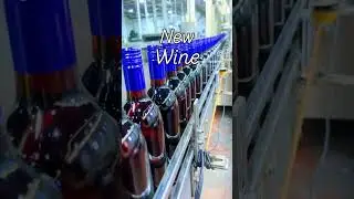 New Wine Coming Friday!