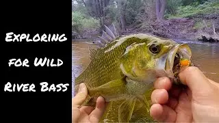 Pristine River Bass Fishing | What's in my Backpack