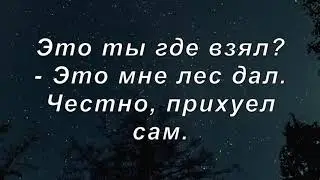 Караоке Типси Тип- Лес дал. Минус