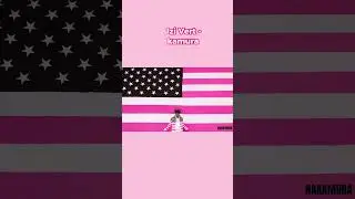 Lil Uzi Vert sampled these artists on Pink Tape!