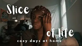 slice of life ⋆𐙚₊˚⊹♡ྀིྀི  cozy winter days and meals, realistic grad school life, working in a lab