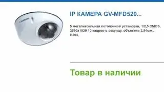 IP камера GV-MFD520 купить в магазине