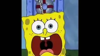 spongecore