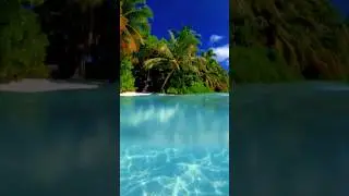 На Мальдивах.