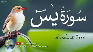 Surah Yaseen / Yasin with Urdu Tarjuma | Quran tilawat | Episode 04 | Quran with Urdu Translation