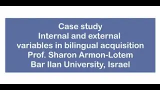 1.4.2 Case study of bilingual twins