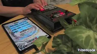 Boss SP202 × Koala Sampler = Hip Hop Beat
