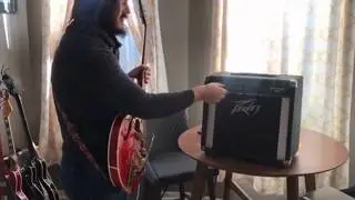 1984 Peavey Backstage Plus