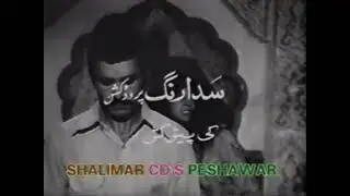 Sadarang Productions (1981)