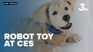 Tombot unveils next-gen robotic puppy Jennie to transform mental health care at CES 2025