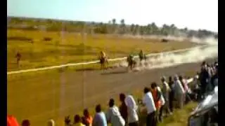 Horse racing in Nevis 20 - Loyal to the Game