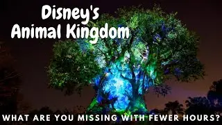 Animal Kingdom COVID Pandemic  | First Time on Expedition Everest | Flight of Passage POV attempt