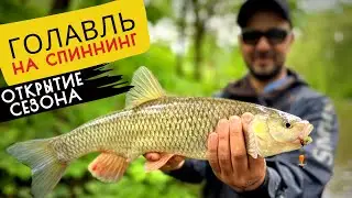 ЛОВЛЯ ГОЛАВЛЯ на ВОБЛЕР и ВЕРТУШКИ 2024