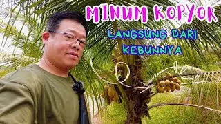 TEMPAT MINUM KOPYOR YANG ESTETIK