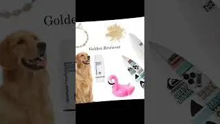 Untitled video