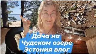 Дачные блоги.Чудское озеро в Эстонии.Тёплая ли вода?Ремонт на даче двигается.Ответы на ваши вопросы
