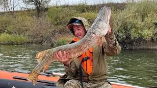 Рыбалка трофейная!!!🚤🎣 Съемка любительская!!! строго не судите!