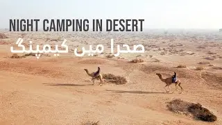 Desert Night Camping in Pakistan | Cholistan Vlog