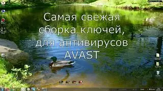 Всегда актуальные ключи для AVAST