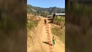Desi train