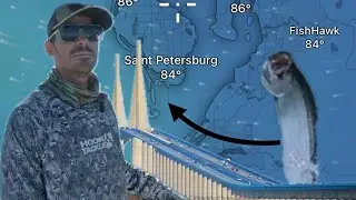 2 days fishing for Tampa bays premier game fish,  skyway fishing pier and boat.  