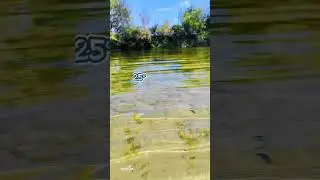 Река Айдар