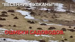 ОШИБКИ САДОВОДОВ. БОРЬБА С КРОТАМИ💯