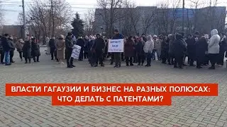 Власти Гагаузии и бизнес на разных полюсах: что делать с патентами?