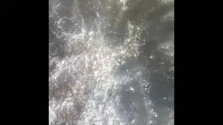 хонда аккорд 8 удаление катализатора