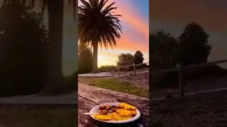 Golden Hour #trending #viral #nature #sea #khoobsurat #newzealand #views #indian #shorts #sunset
