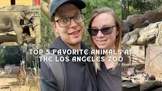 Top 5 Favorite Animals at The Los Angeles Zoo