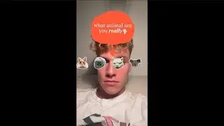 LUCA probiert INSTAGRAM FILTER!😂 📸 | laserluca Instagram Stories