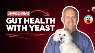 Dr. Greg Sunvold: Microbiome & Pet Health