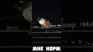 🤪Мне норм - #terraria #shorts