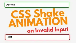 CSS Animation On Input Valid InValid Shake Animation CSS | HTML CSS Animation | Js Input Validation